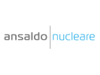 Ansaldo Nucleare (1)